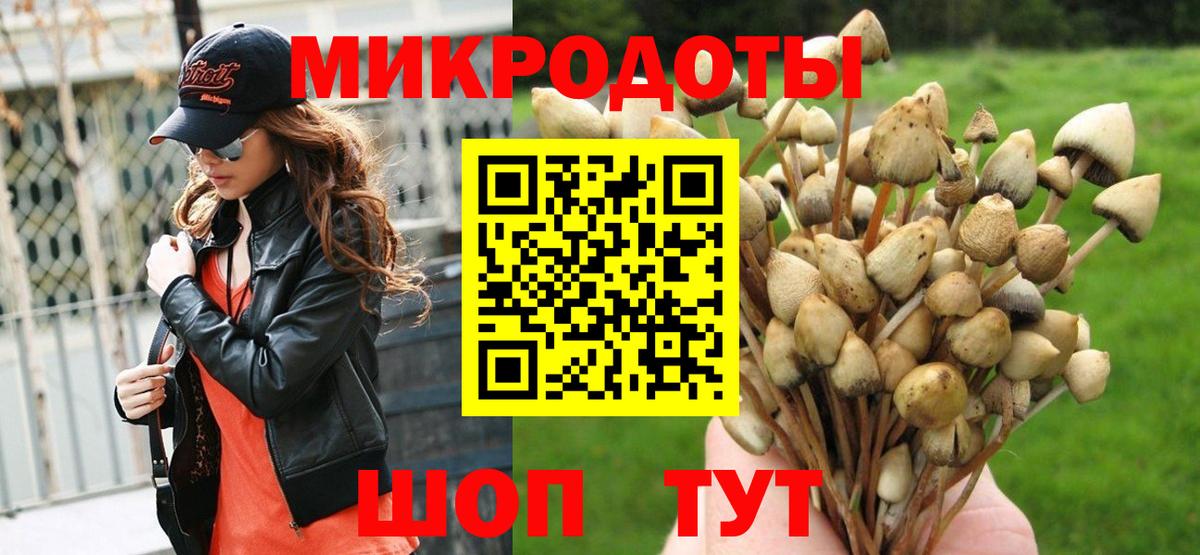 Псилоцибиновые грибы Cubensis Советск